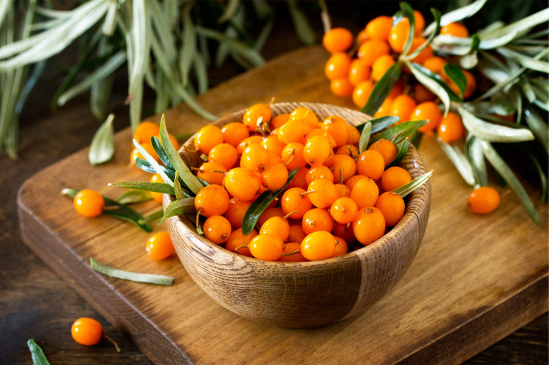 Seabuckthorn India’s Superfruit for Health, Skin & Wellness - Earthvya