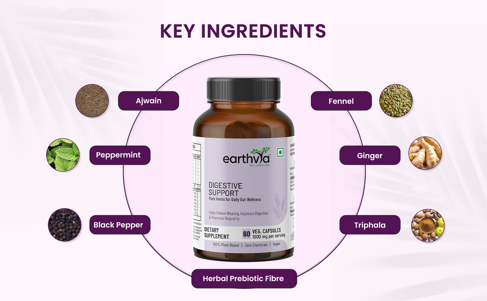 Product Details