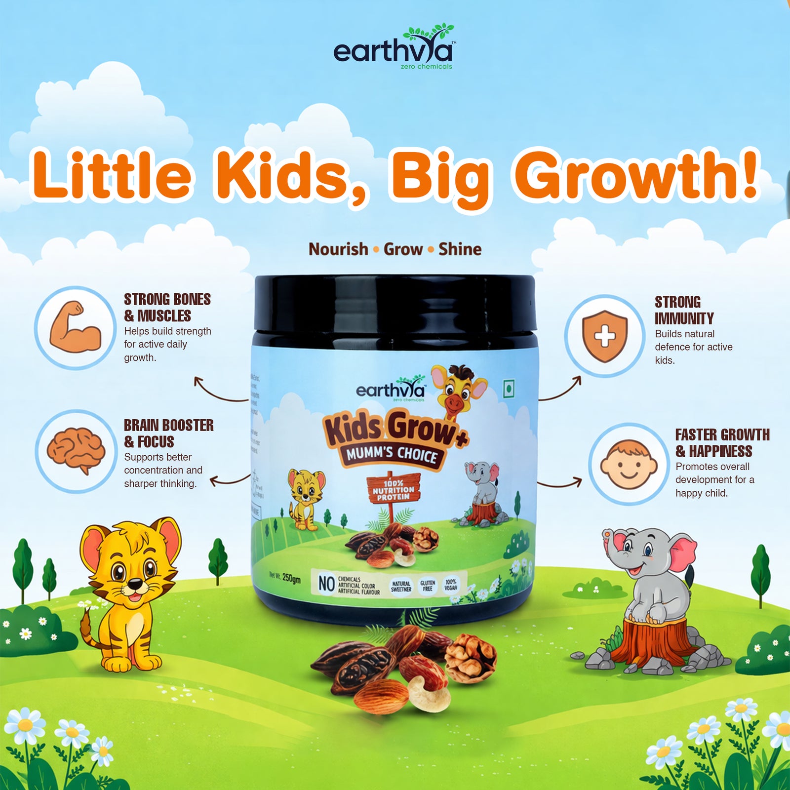 Product Details