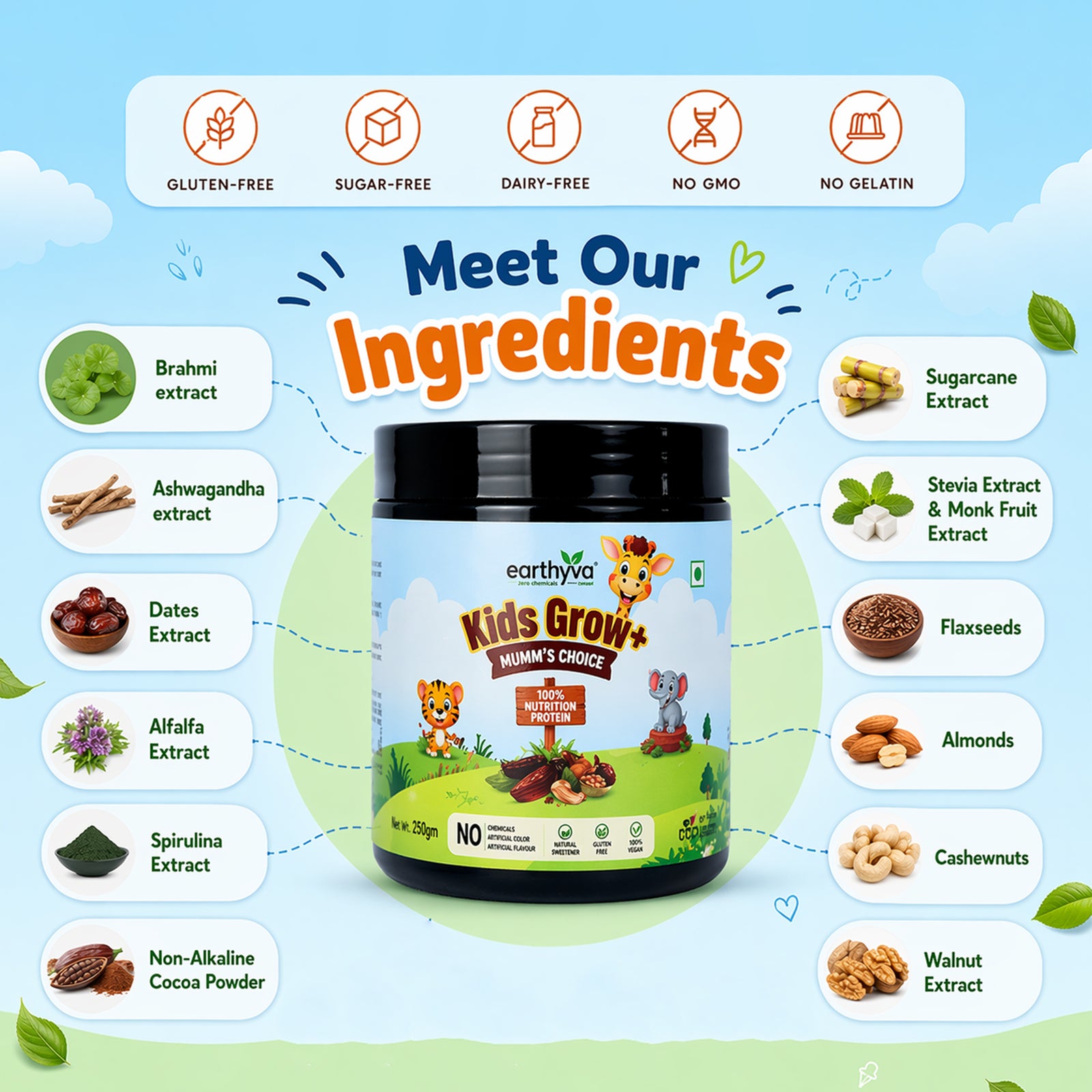 Product Details